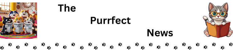 The Purrfect News